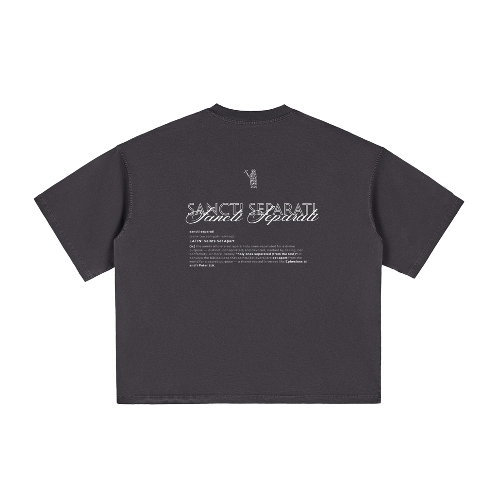 boxy tshirt,sancti seperati