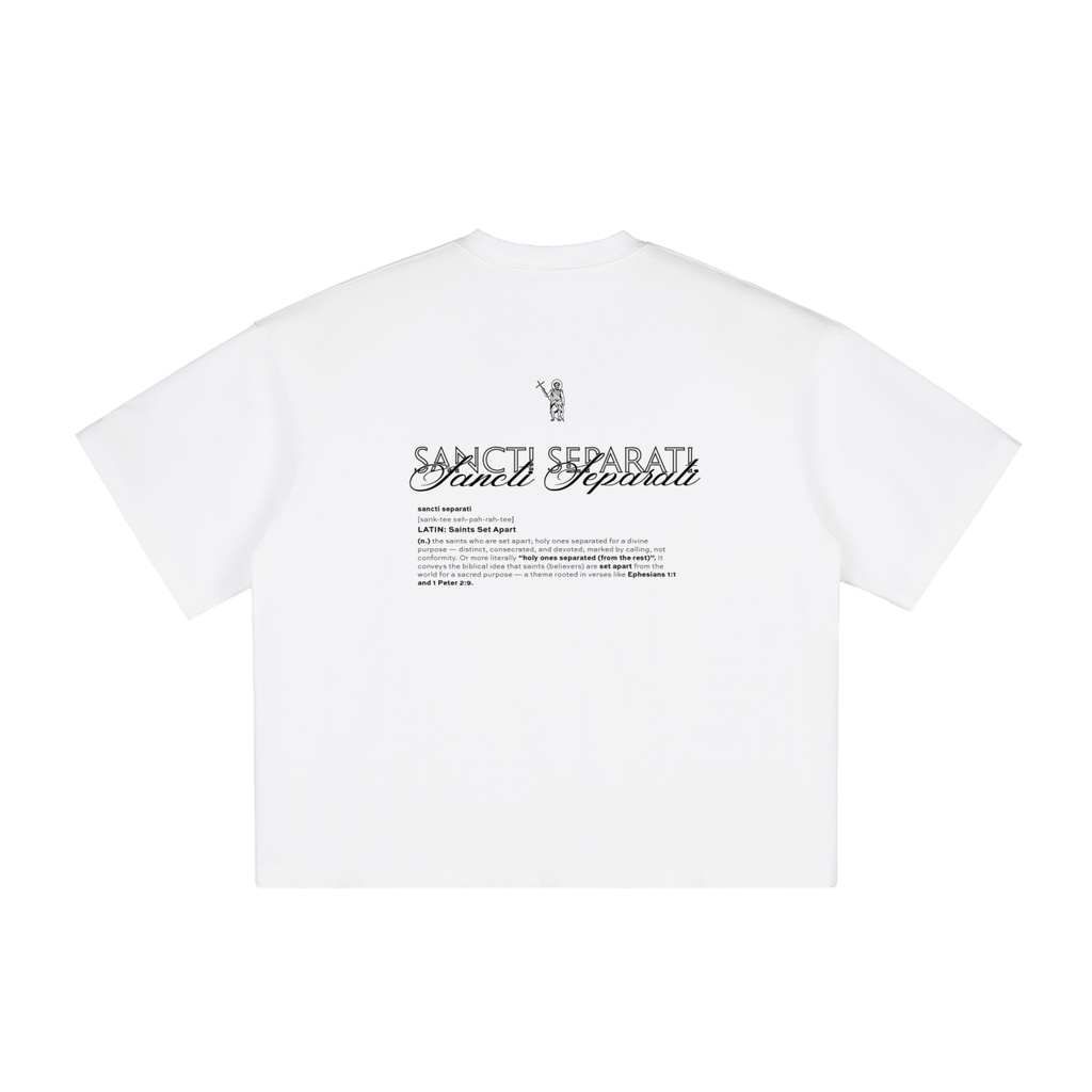 Vintage Sancti Seperati Boxy T-Shirt